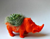 Succulent Planter Centerpiece - Neon Orange Rhino Animal Planter - Desk Accessory - Mens Gift