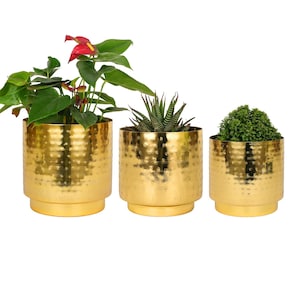 Peut inclure: Trois jardinières dorées en métal martelé de différentes tailles, chacune contenant une plante différente. La plus grande jardinière a une fleur rouge et des feuilles vertes. Les deux autres contiennent une plante succulente et une petite plante feuillue.