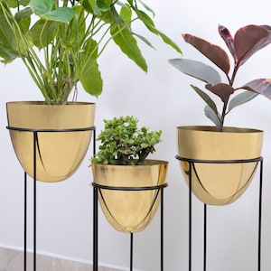 May include: Three gold-coloured metal planters with black metal stands. Each planter holds a different type of plant with green and burgundy leaves. The planters have a rounded bowl shape and are elevated by the black stands.