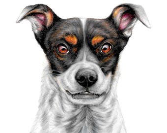 Hand-Drawn Pet Portrait Sketch, Custom Pencil Art Gift, Hand Painted Pet Poster, Dog and Cat Artwork, Watercolor Animal Posters, Gifts