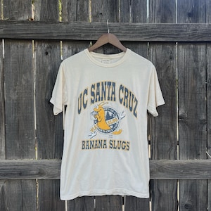90s Ucsc Hoodie - Etsy