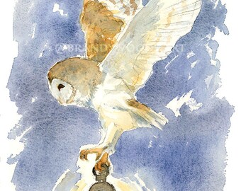 Barn Owl with Lantern 5x7 or 8.5x11 art print Brandy Woods