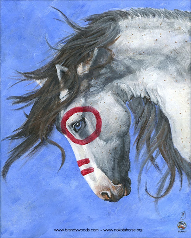 White Native American Stallion War Horse Profile Painting 8 X 10 Art
