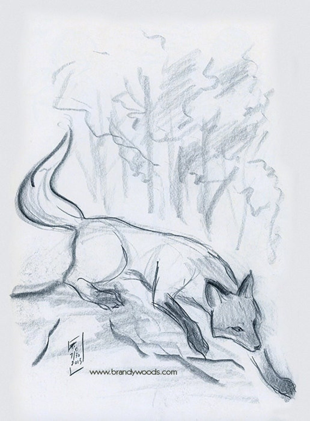 Kitsune Japanese Fox Okamistyle Sketch Drawing Artwork Etsy