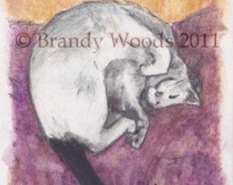 Cat Nap cute ACEO art print Brandy Woods feline kitten kitty sleeping pet