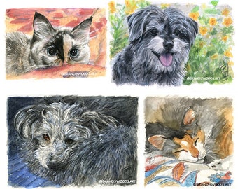 Pet Portrait in Watercolor - Art Commission - Single Pet - by Brandy Woods