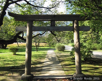 Japan Torii gate temple shinto photography art print - Brandy Woods