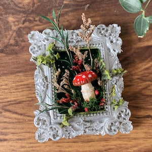 Peut inclure: Un petit cadre argenté orné encadre un diorama miniature. Le diorama présente un champignon rouge et blanc, entouré de verdure et de plantes séchées, sur un fond de velours vert foncé. Le cadre est posé sur une surface en bois.