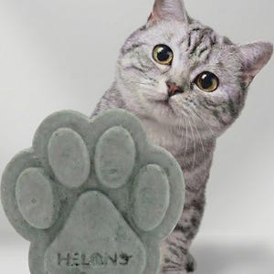 May include: A gray cat peeks around a gray paw-shaped object. The object has the word "HELONS" imprinted on it. The cat has gray and black stripes with yellow eyes. The background is white.