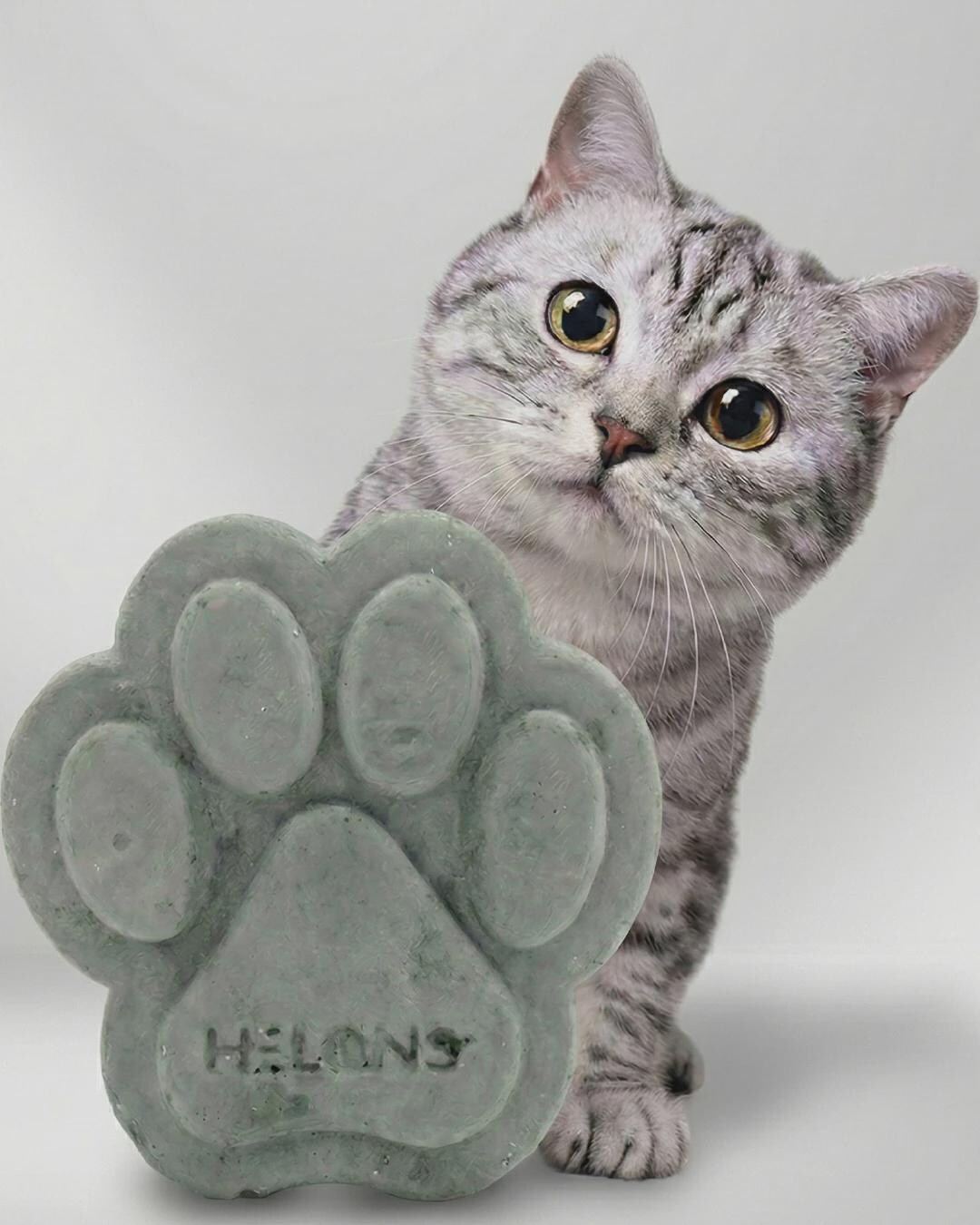 Natural Odor Absorber for Cat Litter Box | No Chemicals, Safe for Pets ... - Natural Cat Litter Odor Absorbers