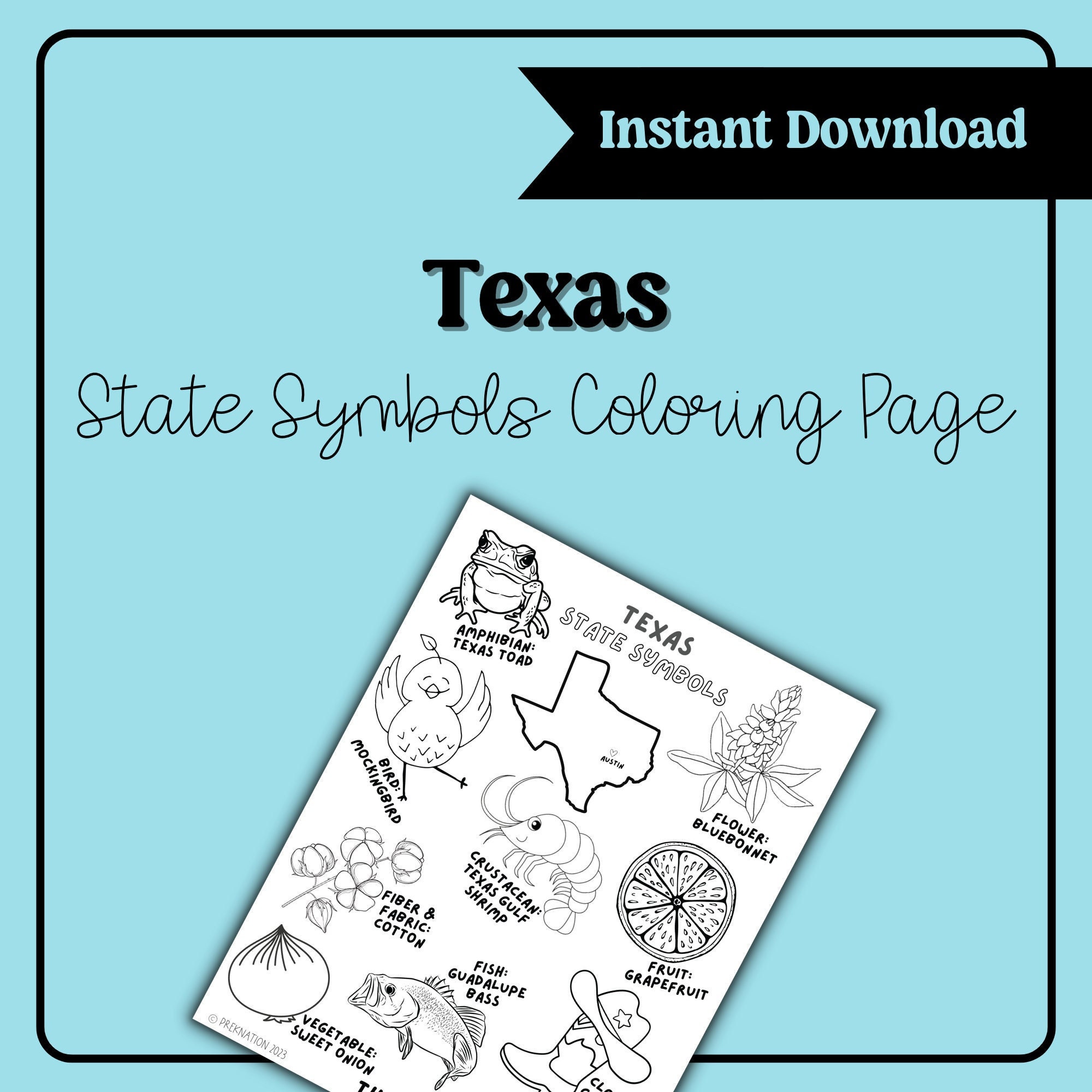 Texas Coloring Pages State Symbols