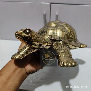 Peut inclure: Une figurine de tortue en laiton doré avec une carapace et des membres détaillés. La tortue est tenue dans une main, mettant en valeur sa finition polie. La figurine a une surface texturée et est un objet décoratif.