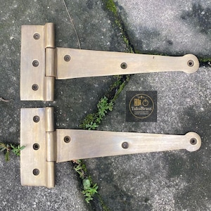 May include: Two brass-coloured T-hinges, each with a rectangular plate and a long, tapered arm. The plates have three screw holes, and the arms have a single hole at the end. The hinges are laid out on a textured, grey surface with some greenery.