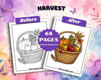 Harvest Coloring Pages for Kids and Adults Printable PDF | 68 Thanksgiving Autumn Farm Designs