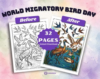 World Migratory Bird Day Coloring Pages Printable PDF – 32 Bird Migration Designs for Kids and Adults, Instant Download