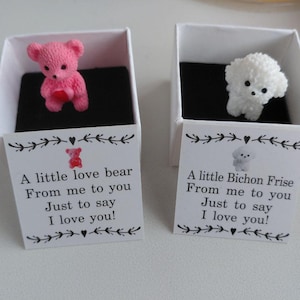 Pode incluir: Duas pequenas caixas de presente, uma com um urso rosa segurando um coração, a outra com um cão Bichon Frise branco. Cada caixa tem um cartão que diz "A little love bear/Bichon Frise From me to you Just to say I love you!"