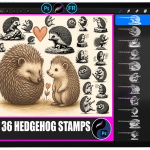 Peut inclure: Une collection d'art numérique de 36 tampons hérisson affichée sur un écran de tablette. Les tampons présentent diverses illustrations de hérissons dans un style vintage, avec un cœur et le texte "36 HEDGEHOG STAMPS". L'écran affiche également une galerie et des outils d'édition.