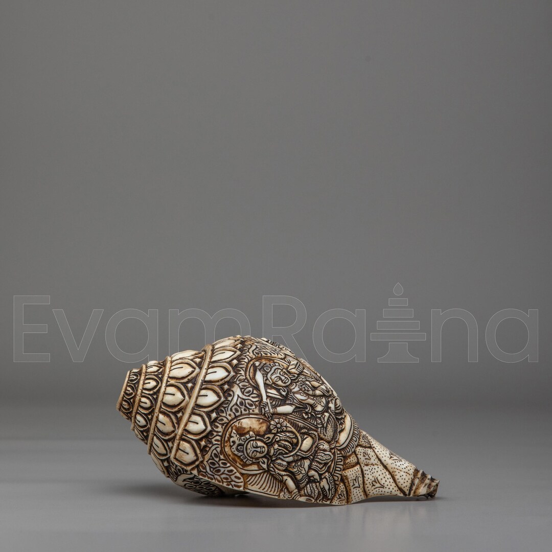 Tibetan Buddhist Sacred Conch Shell | Ritual Meditation Tool for Prayer ...