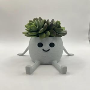 May include: A whimsical, light gray planter with a smiling face and outstretched arms and legs. The planter is filled with a green succulent plant. The design is playful and decorative, suitable for indoor use.