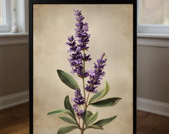Vintage Lavender Botanical Print, Cottagecore Floral Art (Digital Download)