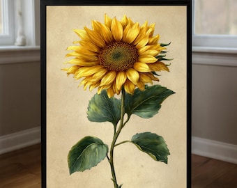 Vintage Sunflower Art Print Botanical Illustration Wall Decor Rustic Farmhouse Floral Printable Cottagecore