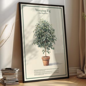 Arte mural botánico imprimible: póster vintage de Ficus Benjamina (PDF, descarga instantánea)