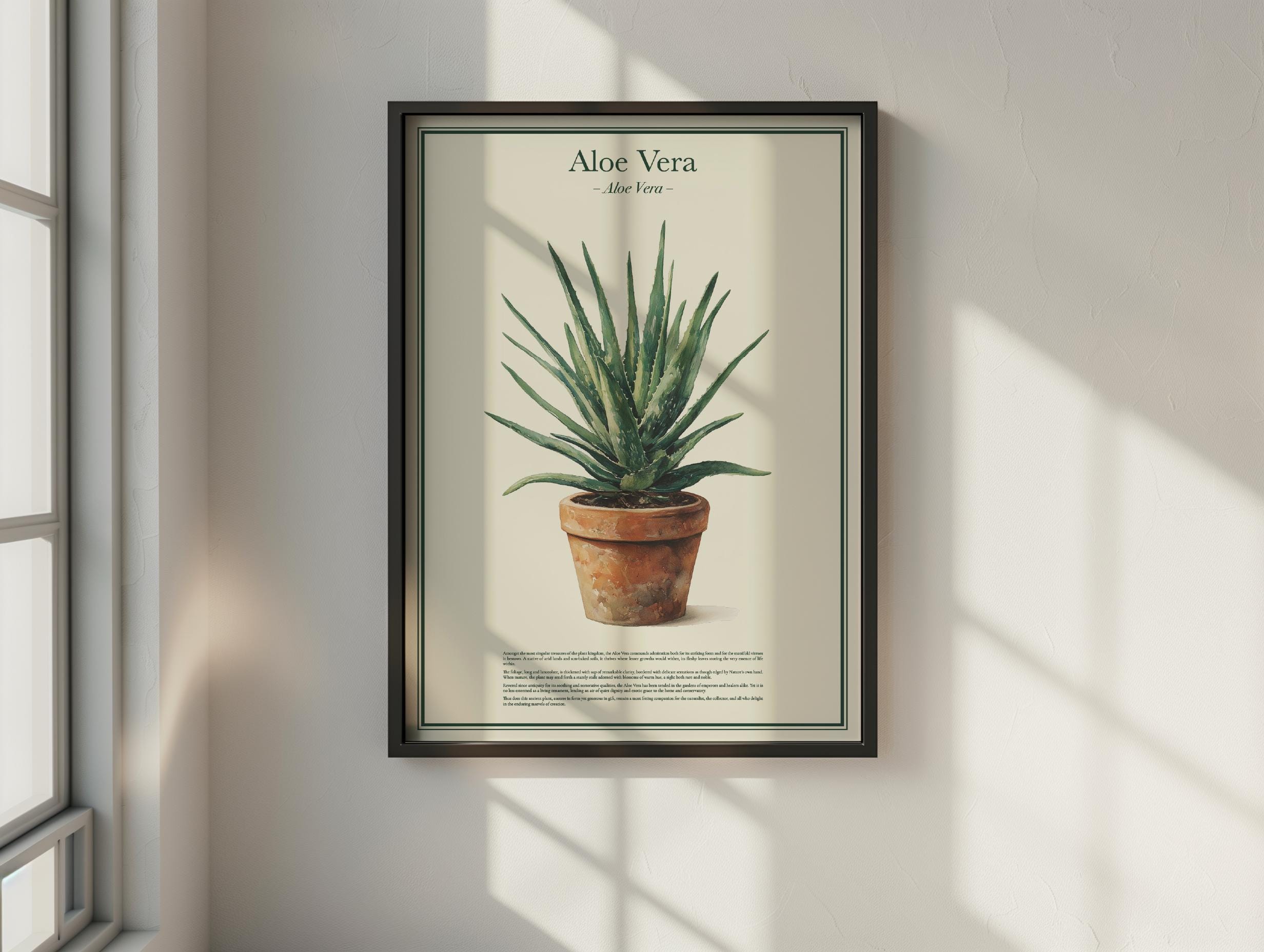 Vintage Botanical Aloe Vera Poster  Scandinavian Japandi Plant Wall Art  Print