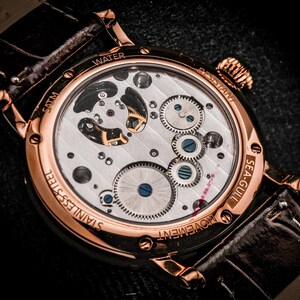 May include: Close-up of a rose gold wristwatch with a transparent back, showcasing the intricate mechanical movement. The watch has a brown leather strap and the words "WATER", "STAINLESS STEEL", and "SEA-GULL" are visible.