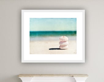 Sea Urchin Shell Photography, Seashells on Beach Photo, Teal Turquoise Aqua Pink Decor, Coastal Shells Wall Art, Seashore Picture, "Balance"