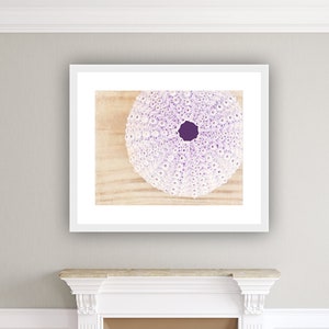 Pastel Beach Print, Sea Shell Wall Decor, Seashell Print, Beach Nursery Wall Art, Purple Home Decor, Coastal Bathroom Decor Sea Urchin Beige