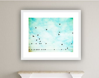 Bird Photography - Blue Nature Print, Bird Lover Gift, Aqua Wall Art, Living Room Wall Decor, Cottage Decor
