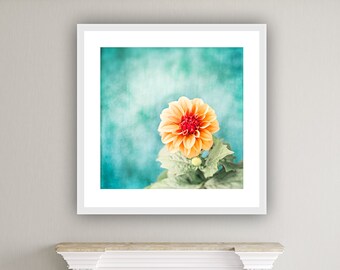 Teal Orange Flower Photography, aqua blue turquoise coral salmon floral wall art botanical picture nature photo nursery, "First Bloom"