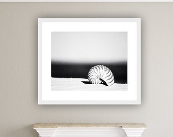 Sea Shell Wall Decor - Large Beach Wall Art, Black White Print, Seashell Print, Modern Coastal Decor