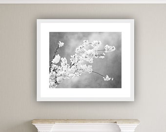 Black and White Flower Photography Nature, Silver Wall Art, Floral Art Print, Grey Wall Decor, Living Room, Gray Botanical Print, Neutral