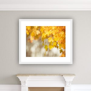 Autumn Leaves Photo, Autumn Artwork, Thanksgiving Decorations, Fall Leaf Art, Yellow Nature Print image 1