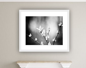 Masculine Wall Art - Black and White Nature Photography, Modern Minimalist, Grey Wall Decor, Botanical Print