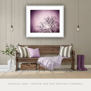 Purple Wall Art birds tree black dark wall art pink nature photo branches print modern decor 8x10 Photograph, Little Birds of the Night image 1