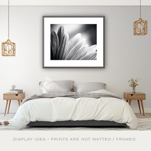 Bedroom Wall Art Over the Bed Black and White Nature Photography, Abstract Prints, Daisy Wall Art, Flower Wall Decor, Modern Print, Grey image 1