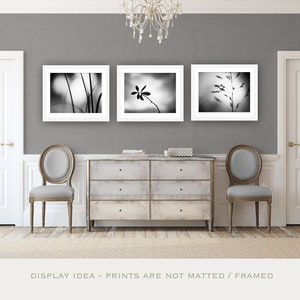 May include: Three framed black and white botanical prints hang above a distressed gray dresser. The prints feature close-up images of plants. Two gray chairs with oval backs sit on either side of the dresser. A chandelier hangs from the ceiling.