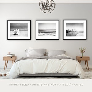 Black and White Beach Photo Set - Three 3 seashell ocean photography grey gray gallery wall coastal prints nautical artwork 11x14, 8x10, 5x7