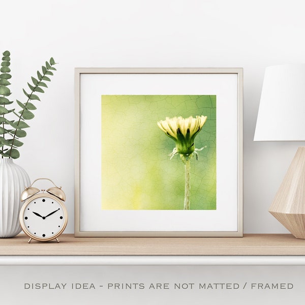 Dandelion Print - Woodland Decor, Botanical Print, Yellow Art, Green Print, Photography Nature, Plant Print