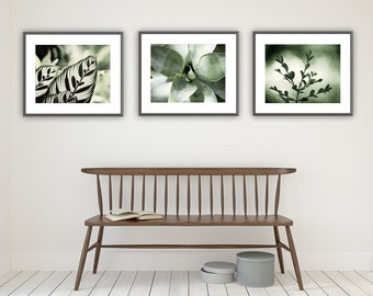 Set of Three Wall Art Prints Green, Botanical Print Set of 3, Nature Photography Set, Modern Farmhouse Prints, Woodland Decor, Leaf Plant