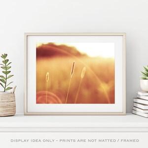 May include: Framed art print featuring a warm, golden-toned landscape with tall grass and a bright sun flare. The artwork is displayed on a white shelf with decorative plants, creating a serene and natural aesthetic.