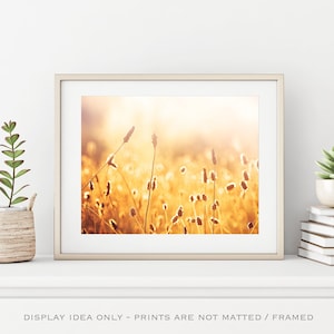 Mustard Yellow Decor Botanical Print, Gold Wall Art, Fine Art Photographs, Nature Wall Art image 1