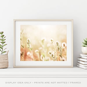 Modern Rustic Decor, Farmhouse Wall Art Print, Country Artwork, Shabby Chic Wall Art, Pastel Botanical Photo, Pale Cream Light Yellow Peach