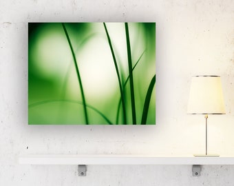 Modern Canvas Wall Art - Green Wall Art, Canvas Art Abstract, Woodland Decor, Nature Print