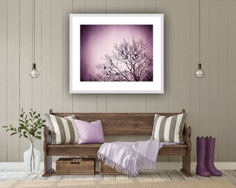 Purple Wall Art - birds tree black dark wall art pink nature photo branches print modern decor 8x10 Photograph, "Little Birds of the Night"