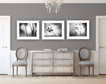 Black and White Photo Set, Three Photographs - 11x14, 8x10, 5x7 - nature prints botanical wall art set grey gray modern fine art photograph