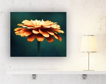 Burnt Orange Wall Art Canvas Prints - Teal Pictures, Flower Photography Nature, Modern Rustic Decor, Dark Turquoise Art, Botanical Photo