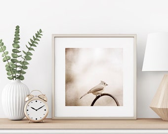 Tufted Titmouse Bird Photography Nature - Modern Farmhouse Prints, Beige Country Artwork, Light Brown Square Prints Wall Art, Neutral Photo